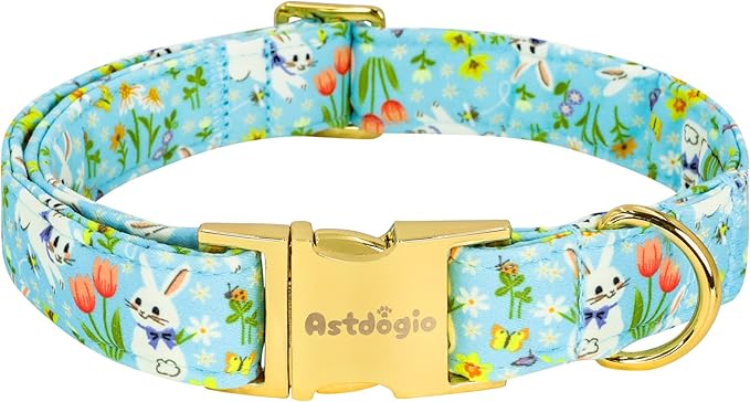 Easter Dog Collar for Extra Small Dogs, Easter & Spring Theme Small Dog Collar by Unknown