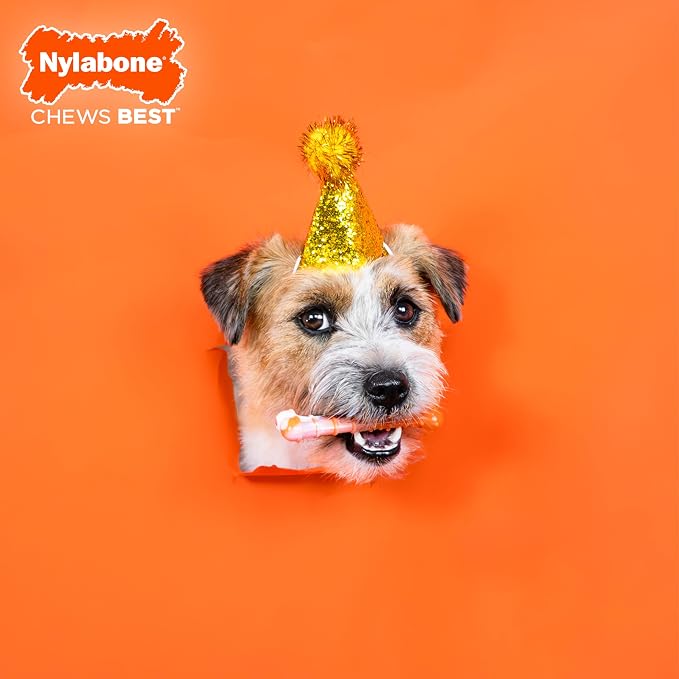 Nylabone Limited Edition 70th Birthday Textured Bone Power Chew Toy - Image 2