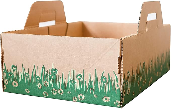 Disposable Ten Second Litter Boxes by Unknown