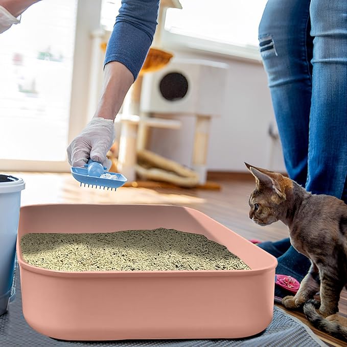 Small Litter Box, Plastic Kitten Litter Box, 13.9 x 9.8 x 3 Inch Open Litter Box - Image 6