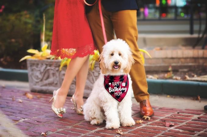 Ptzizi Funny Red Plaid Happy Birthday Mom Dog Printed Triangle Bandana - Image 5