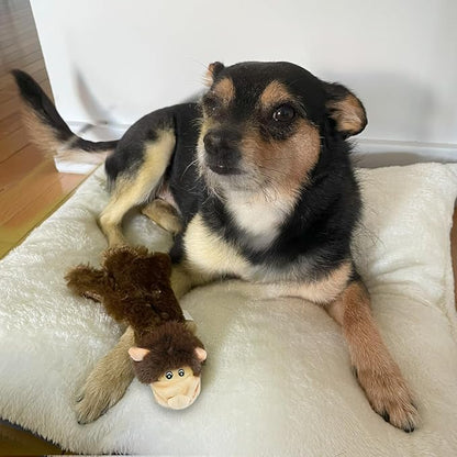 Best Pet Supplies Squeaky Dog Toys - Image 7