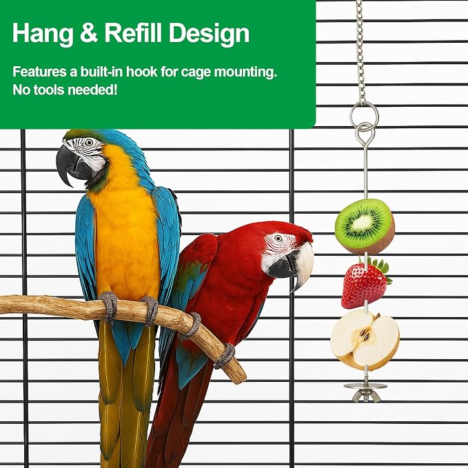 2 Pcs Chain Clauses Bird Cage Food Holder Stainless Steel Parrot Fruit & - Image 4