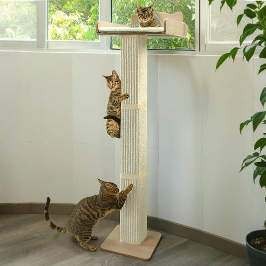Cat Window Perch with Thick Sisal Scratching Post, Cat Hammock by GreenPetopia