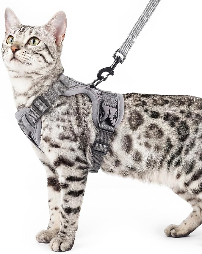 Cat Harness and Leash Set Escape Proof Tactical Extra Large Kitten Harness by pangdi