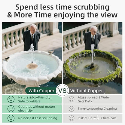 Bird Bath Copper Disk, Pure Copper Bird Bath Purification Disc, Save Cleaning - Image 7