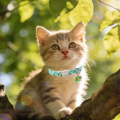 Unique Style Paws Baseball Kitten Collars, Cute Blue Cats Collar - Image 5