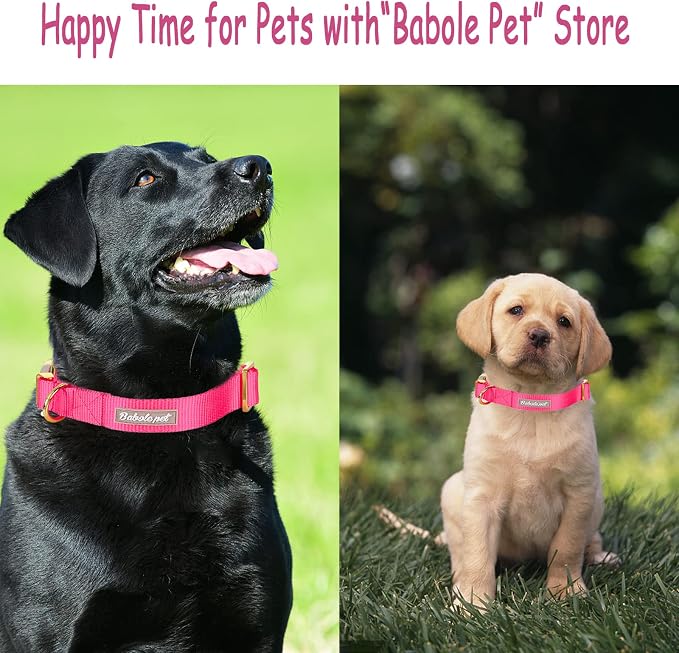 Nylon Dog Collar - Image 5
