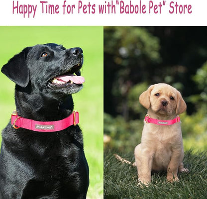 Nylon Dog Collar - Image 5