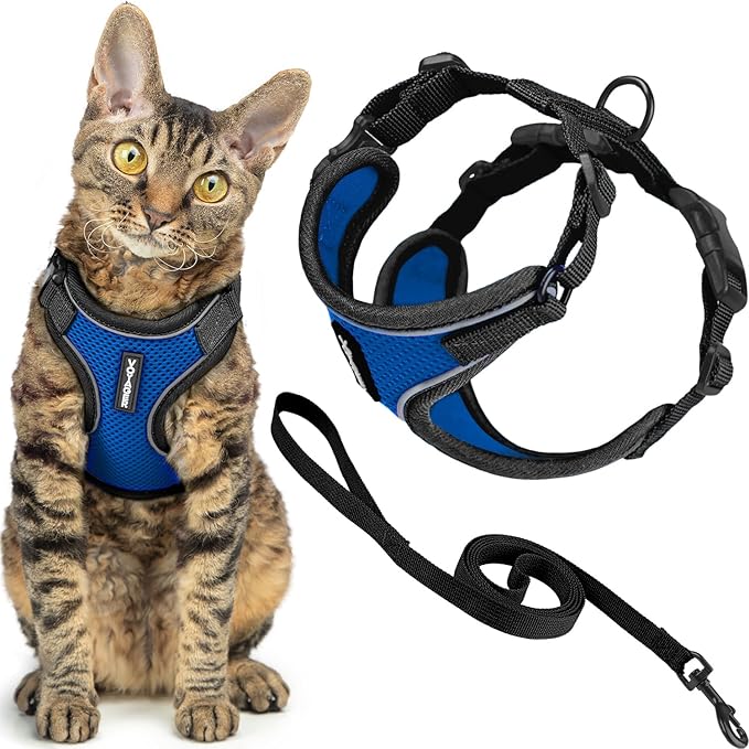 Voyager Escape-Proof Step-In Lock Cat Harness & 5ft Neoprene-Handle Leash Set by BestPetSuppliesLLC