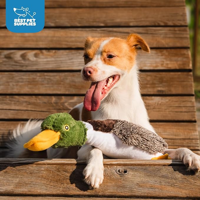 Best Pet Supplies Interactive Squeaky Dog Chew Toy, Ideal Dog Toys - Image 5