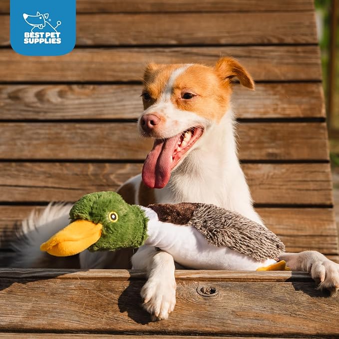 Best Pet Supplies Interactive Squeaky Dog Chew Toy, Ideal Dog Toys - Image 7