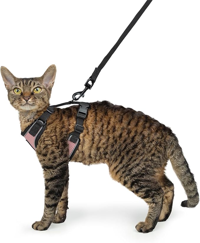 Voyager Escape-Proof Step-in Lock Cat Harness & 5ft Neoprene-Handle Leash Set - Image 6