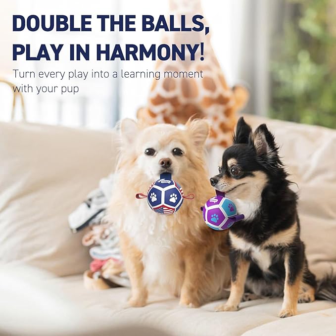 QDAN 2 Pack Small Dog Toys, Puppy Balls, Dog Balls - Image 4