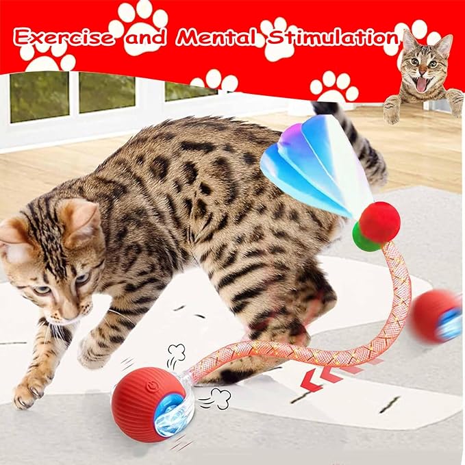2 PCS Interactive Cat Toy Rolling Ball - Image 3