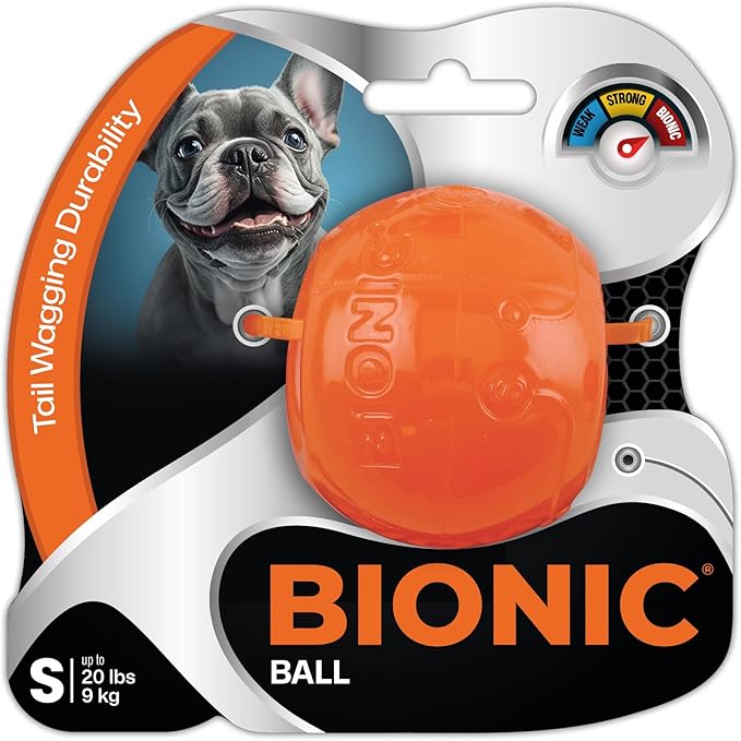 BIONIC Ball Dog Toy, Small by BIONIC