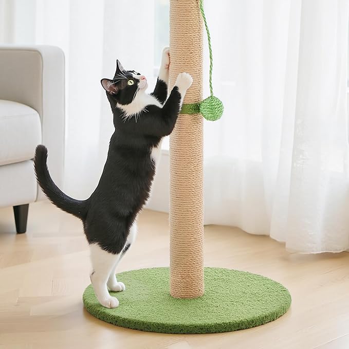 DUMOS Small 33inch Cat Scratching Post - Image 5