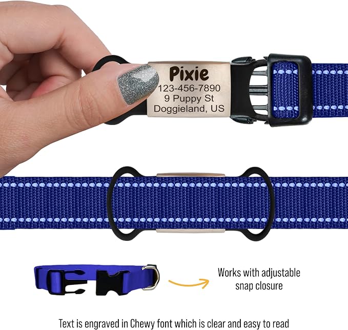 Custom Slide On Pet Tag ID, Fancy Silent Dogs & Cats Personalized No Jingle - Image 7