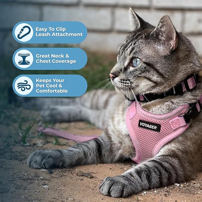 Voyager Step-in Lock Adjustable Cat Harness w. Cat Leash Combo Set - Image 5