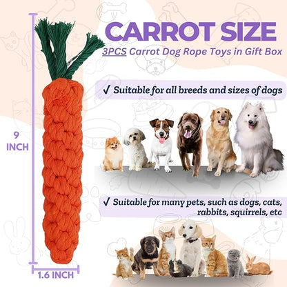 3PCS Orange Woven Pet Chew Set, Puppy Teething Chews, Dog Chew Treats, Cat - Image 2