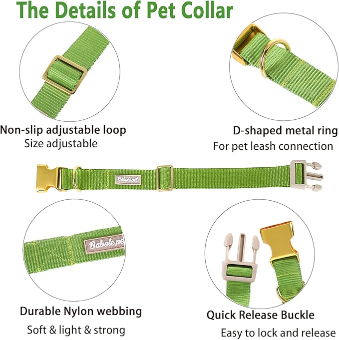 Nylon Dog Collar - Image 4