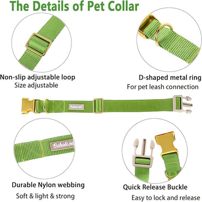 Nylon Dog Collar - Image 4