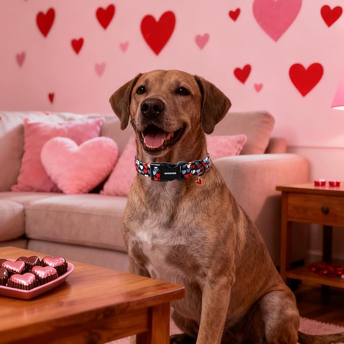DOGWONG Red Heart Dog Collar, Cute Valentine Collar, Valentine's Day Dog Collar - Image 5