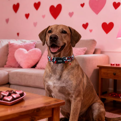 DOGWONG Red Heart Dog Collar, Cute Valentine Collar, Valentine's Day Dog Collar - Image 5