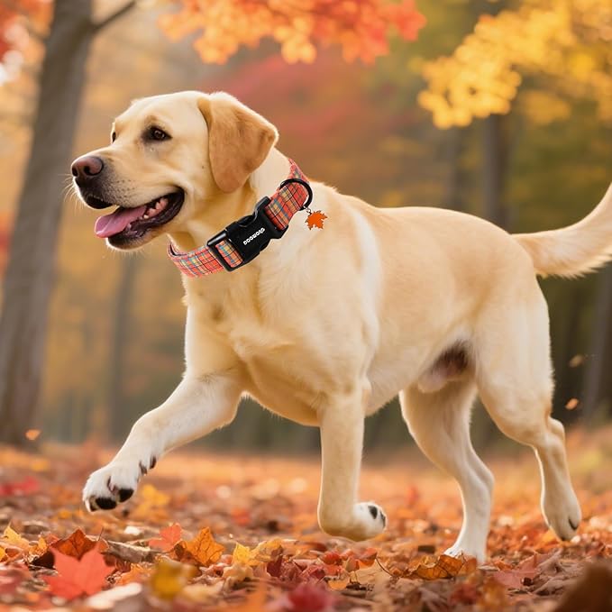 DOGWONG Fall Maple Dog Collar- Cute Classic Fall Autumn Flower Dog Collars - Image 5
