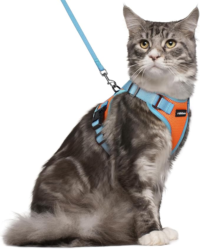 rabbitgoo Cat Harness and Leash Set, Escape Proof Soft Adjustable Vest Harnesses by rabbitgoo