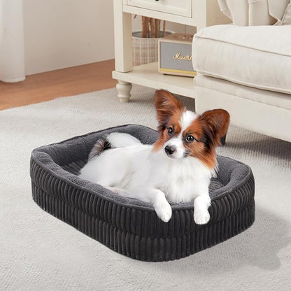 Orthopedic Dog Bed for Puppy, Extra Small Dogs Breeds, Oval Cat Bed, High - Image 8