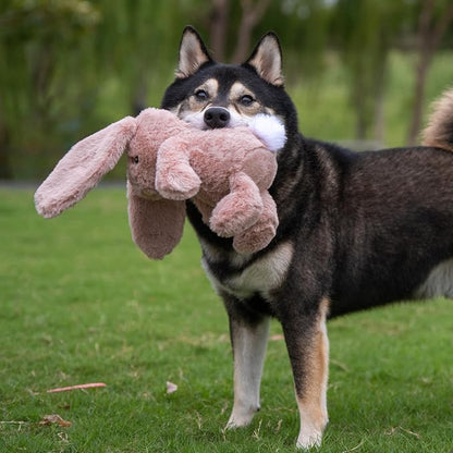 Best Pet Supplies Interactive Squeaky Dog Chew Toy, Ideal Dog Toys - Image 6