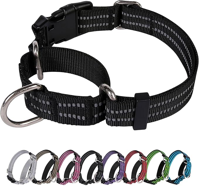 Martingale Dog Collar, Adjustable Nylon Reflective Collar by JOYEEIIOO