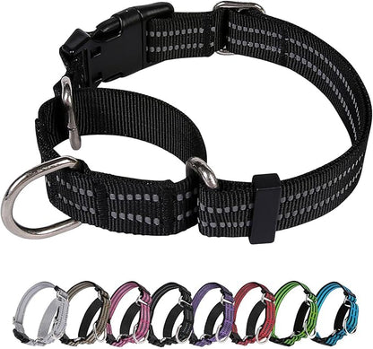 Martingale Dog Collar, Adjustable Nylon Reflective Collar by JOYEEIIOO