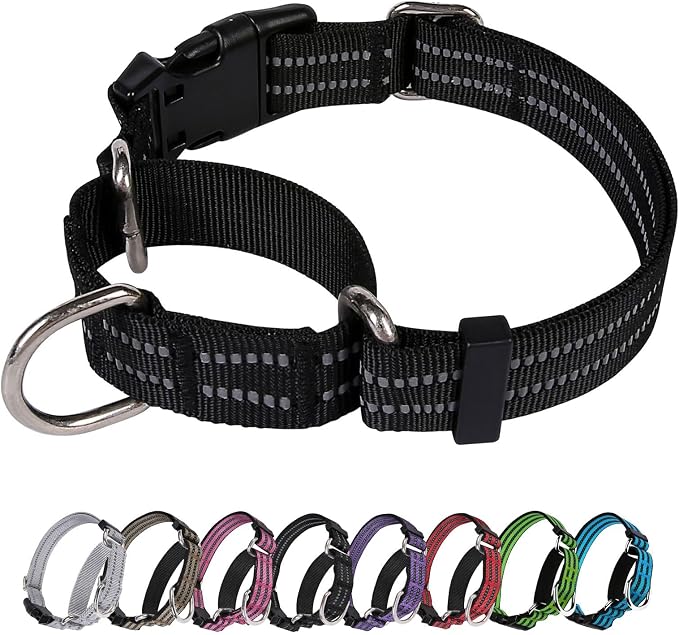 Martingale Dog Collar, Adjustable Nylon Reflective Collar by JOYEEIIOO