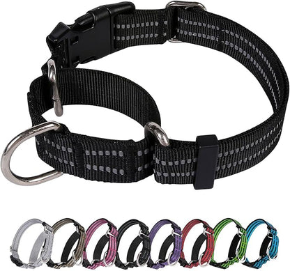 Martingale Dog Collar, Adjustable Nylon Reflective Collar by JOYEEIIOO