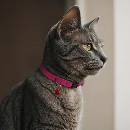 Breakaway Cat Collar Leather - Image 6