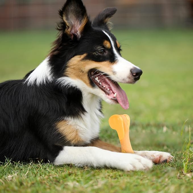 Tikaton Dog Chew Toys for Aggressive Chewers, Chicken Flavor Durable Dog - Image 5
