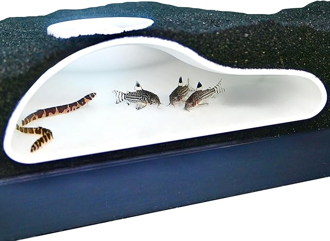 Aquarium Underground Tunnel Cave Natural Curve | Viewing Fish & Shrimp Under by LuckyCritterCo