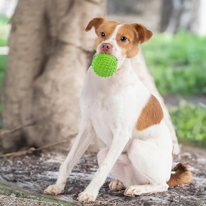Best Pet Supplies Squeaky Dog Toys - Image 6