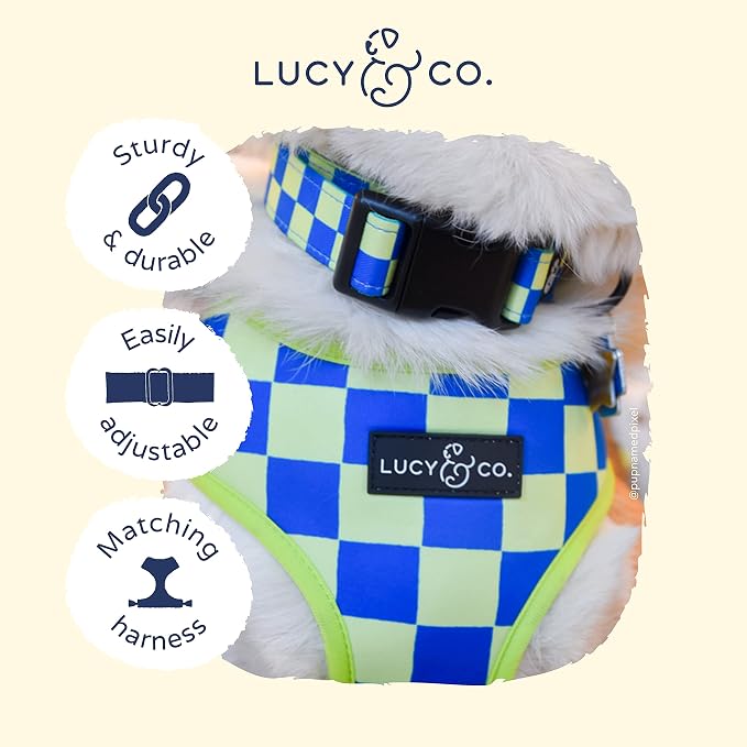 Lucy & Co. Have a Nice Day Dog Collar - Image 3