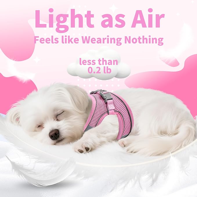 AIITLE Step in Dog Harness and Leash Set - Image 7