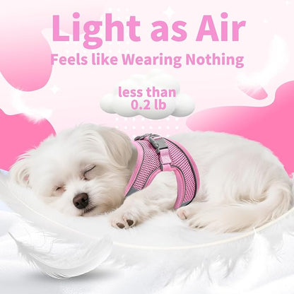 AIITLE Step in Dog Harness and Leash Set - Image 7