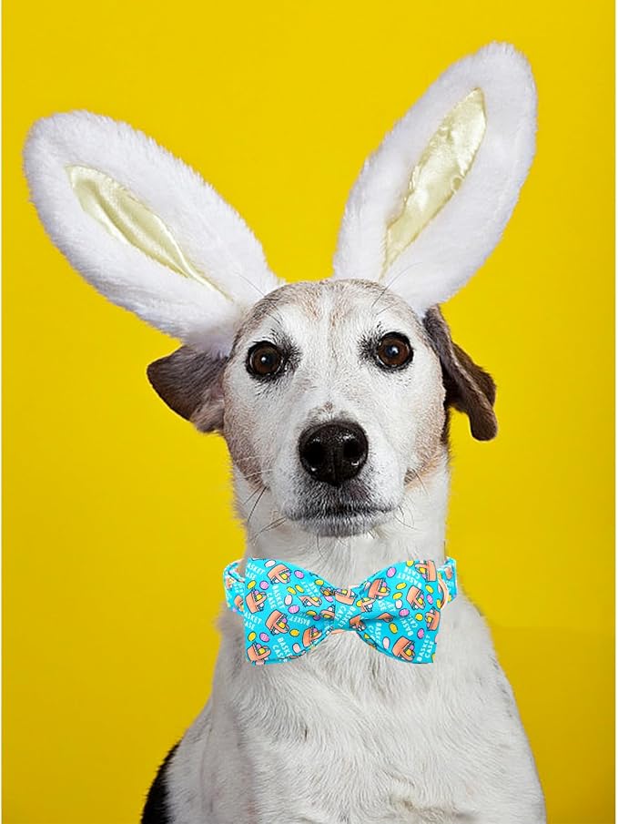 Lionheart Glory Easter Day Dog Collar - Image 4