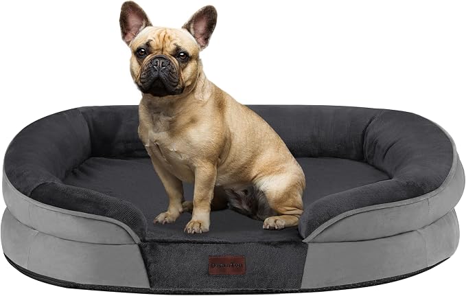Dwanton Orthopedic Dog Bed for Medium Dogs by DWANTON
