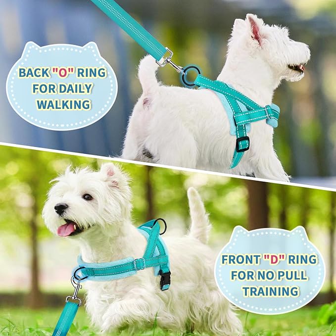 SlowTon No Pull Small Dog Harness and Leash Set, Puppy Soft Vest Harness Neck & - Image 4