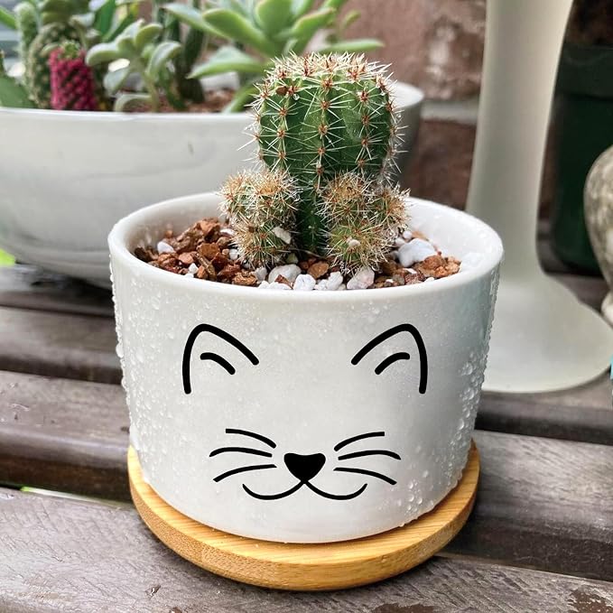 Window Garden Cat Planter Pots, Cat Gifts - Image 6