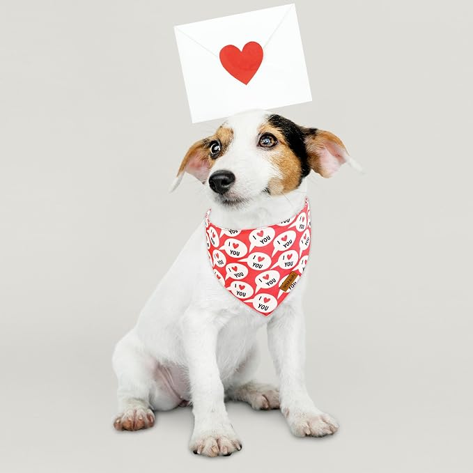 Valentines Dog Bandanas with Snap Button - Image 4