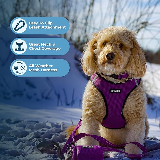 Best Pet Supplies Voyager Step-in Air Harness - Image 2
