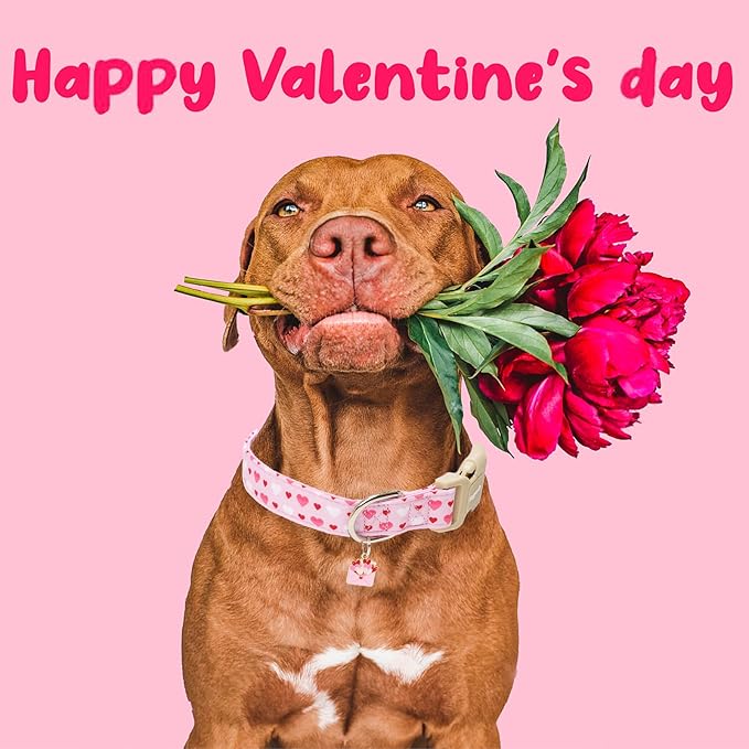 Faygarsle Valentine's Day Dog Collar, Adjustable - Image 6